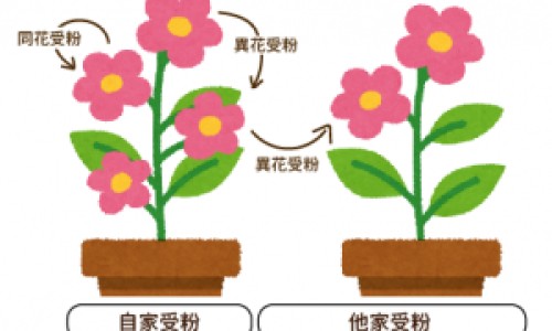 胆宁片和大黄利胆胶囊的区别-大黄利胆片和大黄利胆胶囊哪个好-胆宁片和大黄利胆胶囊的区别,中国胆宁片和大黄利胆胶囊网站