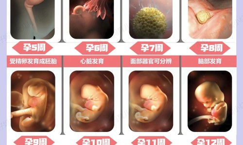 胆宁片的大黄对肠道有害吗-大黄利胆片和大黄利胆胶囊哪个好-胆宁片和大黄利胆胶囊的区别,中国胆宁片和大黄利胆胶囊网站